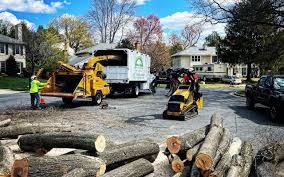 Best Leaf Removal  in Treasure Lake, PA